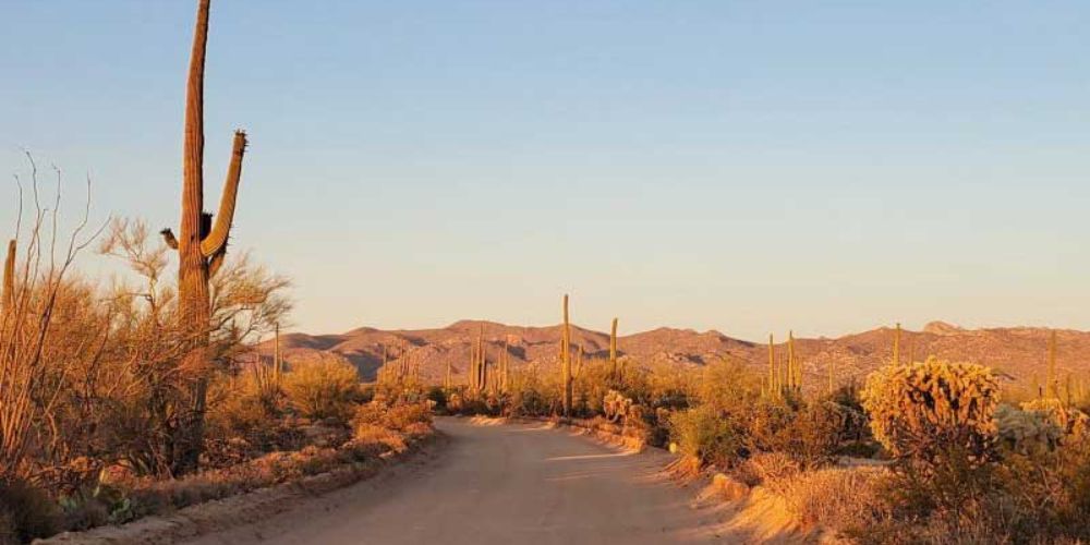 Biking on a mountainous path in Arizona