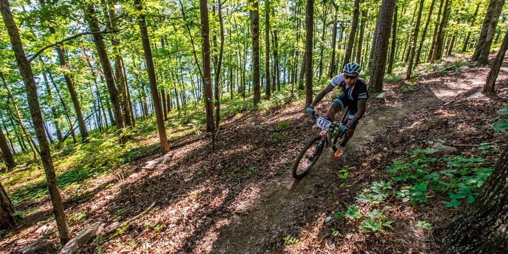 Scenic view of Arkansas biking route