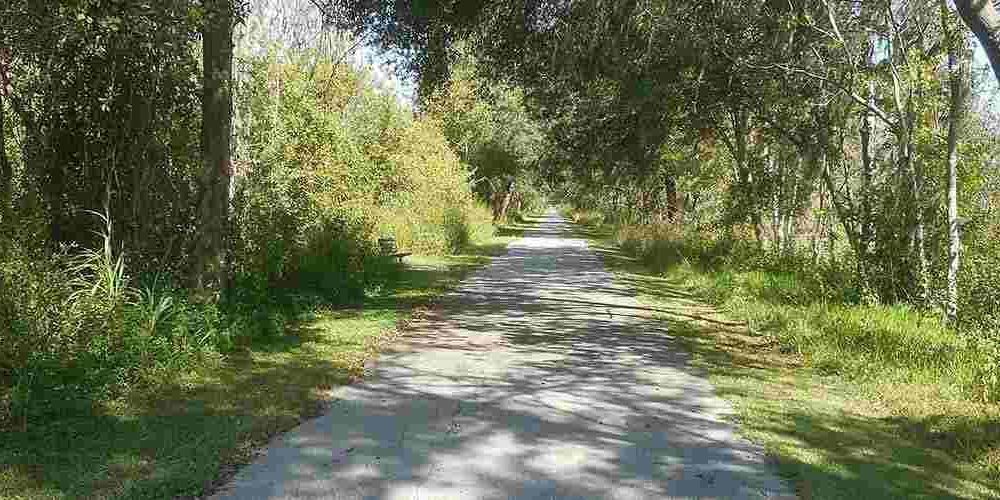 Scenic bike route through Florida's nature