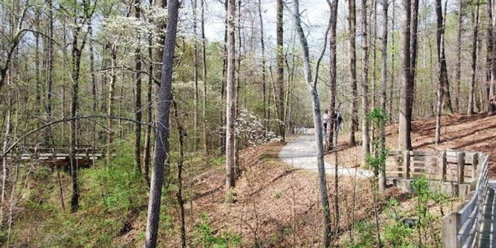 Cyclist riding through Georgia countryside