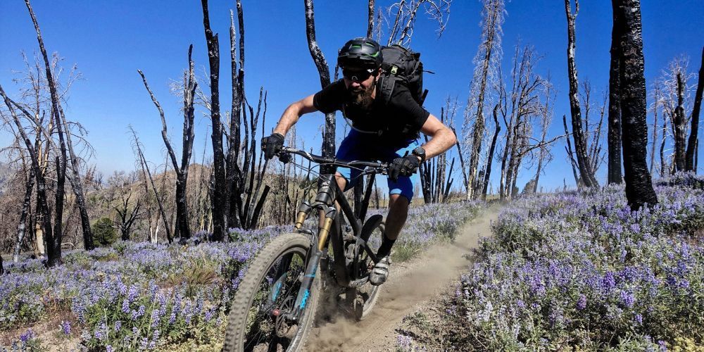 Biking through Idaho's scenic lakeside paths