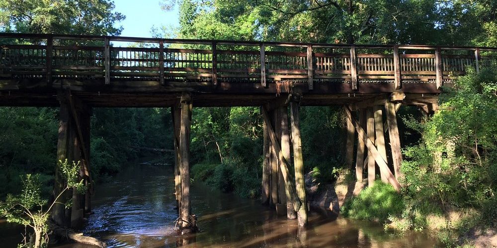 Biking through a Louisiana cityscape