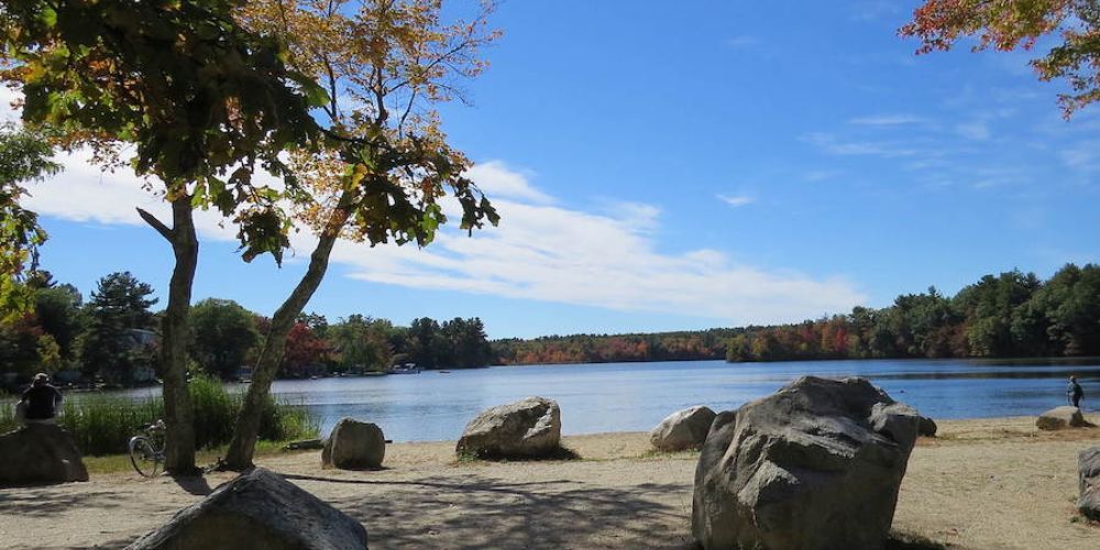 Biking through a forested trail in Massachusetts