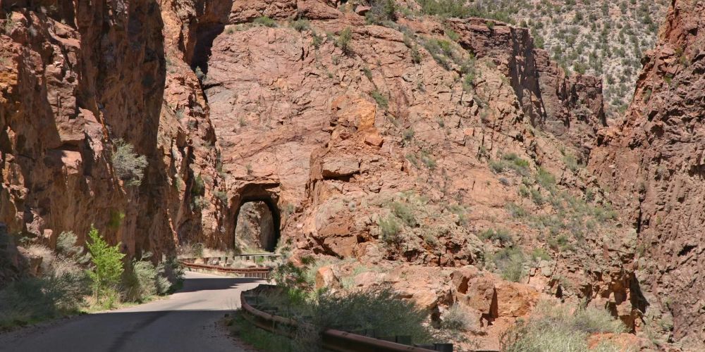 Biking through a forested path in New Mexico