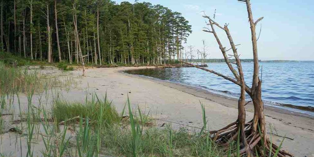 Scenic bike route in North Carolina forests