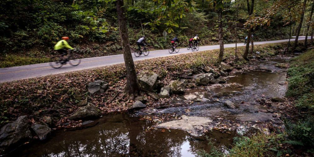 Cyclist biking along a coastal trail in South Carolina