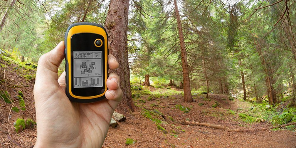 A person is holding a gps in their hand in the woods.