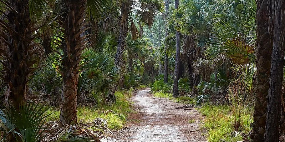 top hikes in Florida