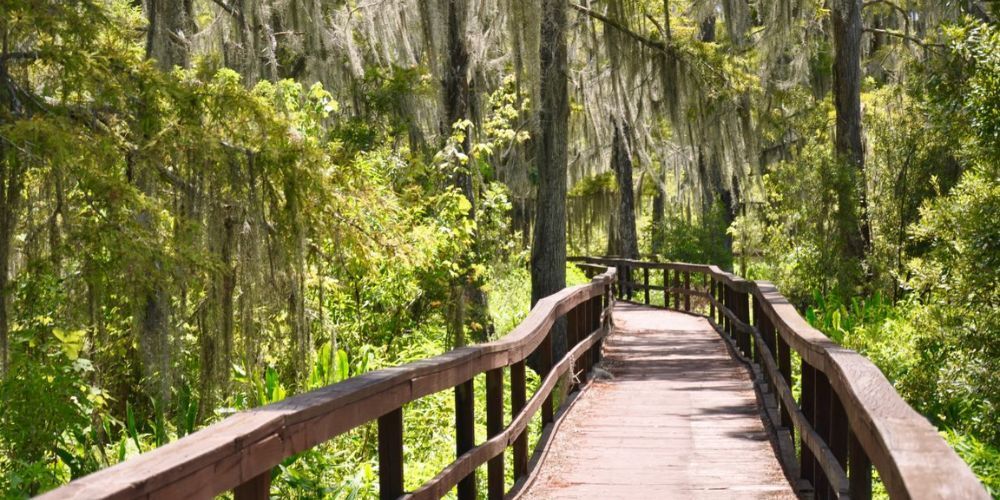 hiking in Louisiana