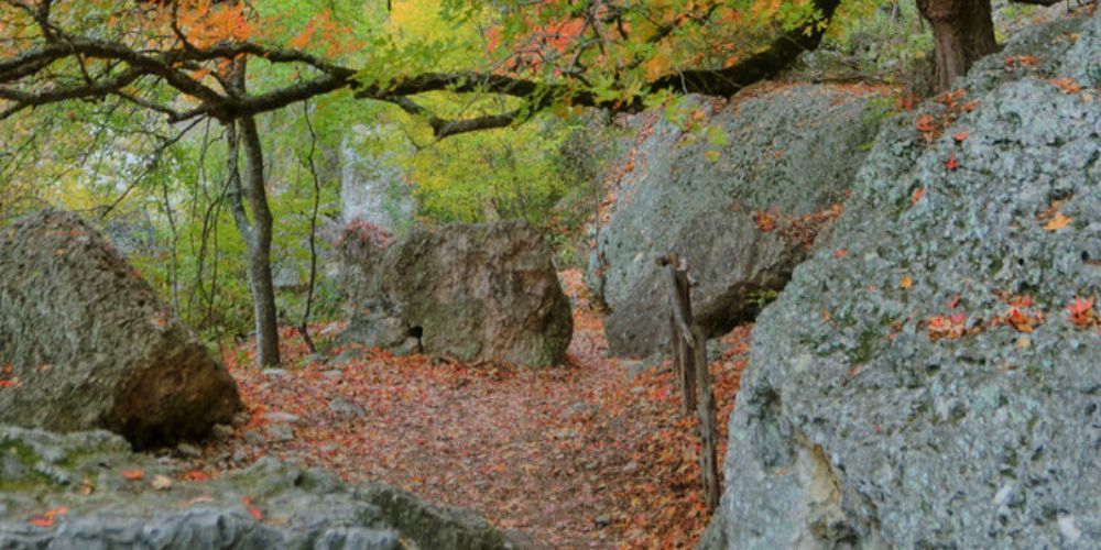 Texas hikes