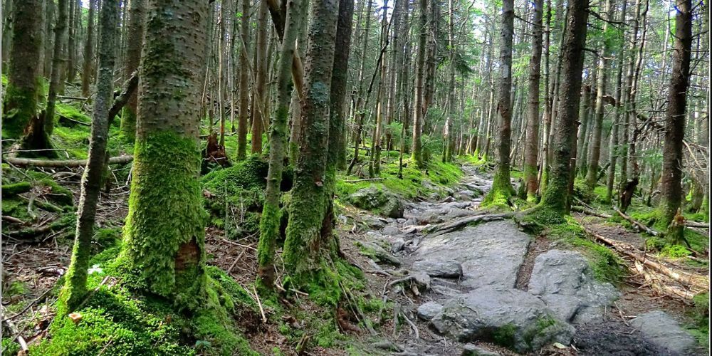 hiking in Vermont