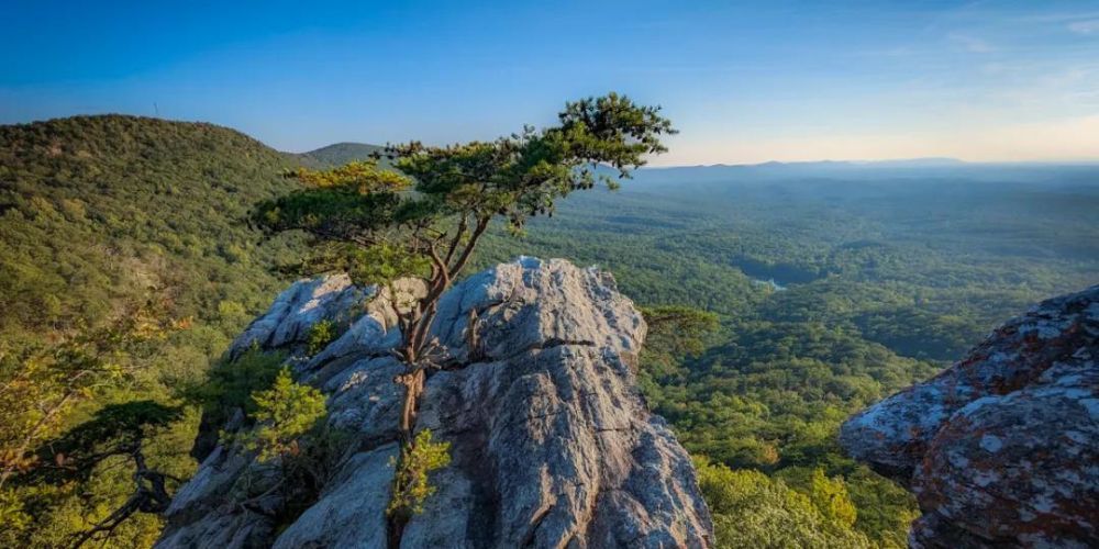 alabama hike