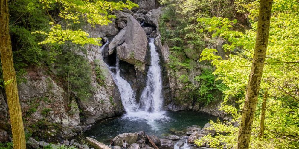 A waterfall in the middle of a forest surrounded by trees.