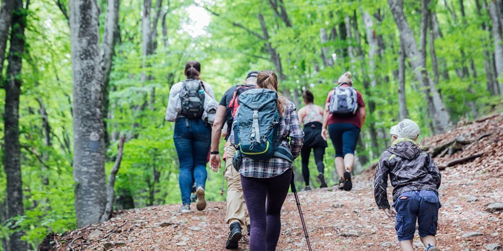 A group of people are hiking down a path in the woods.