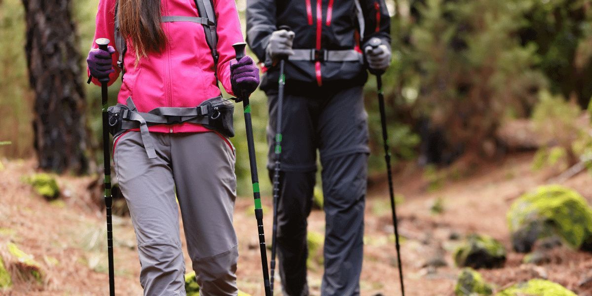 Trekking poles