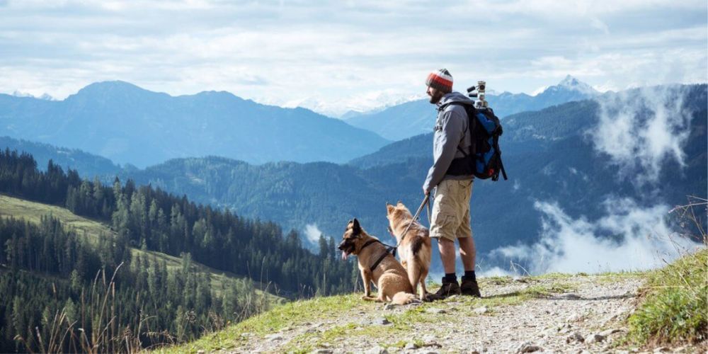 A man and two dogs are standing on top of a mountain.