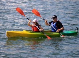 A man and a woman are paddling kayaks on a lake.