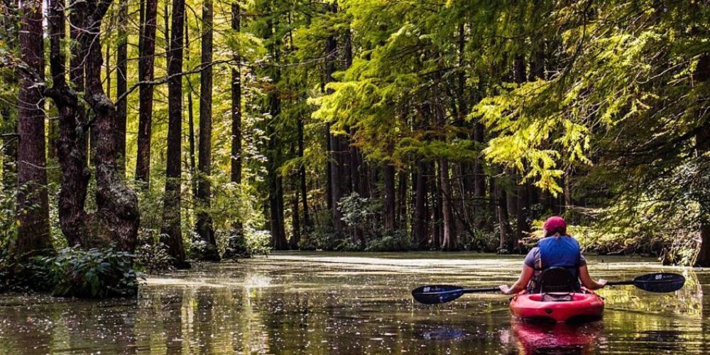 best places to kayak in delaware