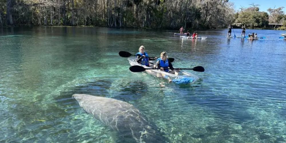 best places to kayak in florida