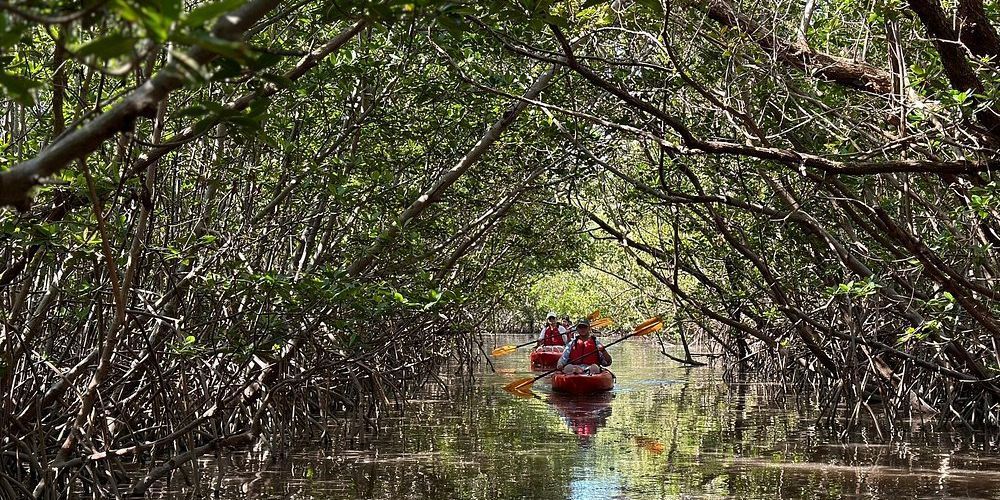 kayaking in florida