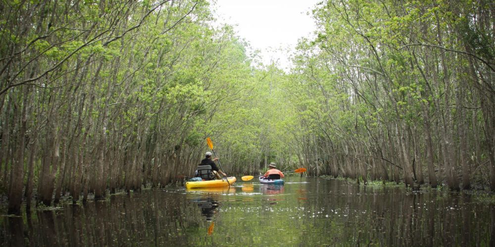 best places to kayak in louisiana