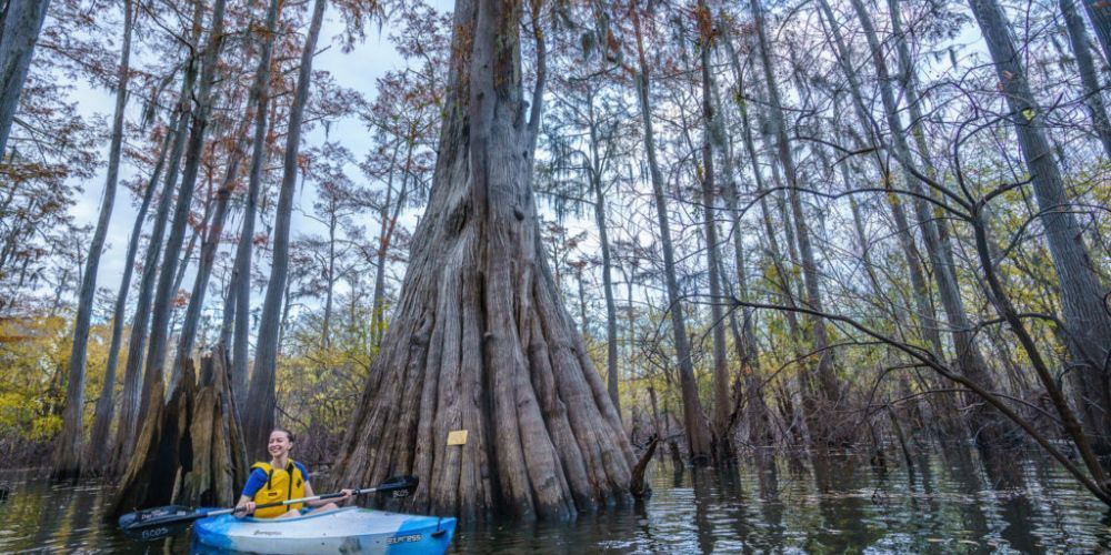 kayaking in louisiana