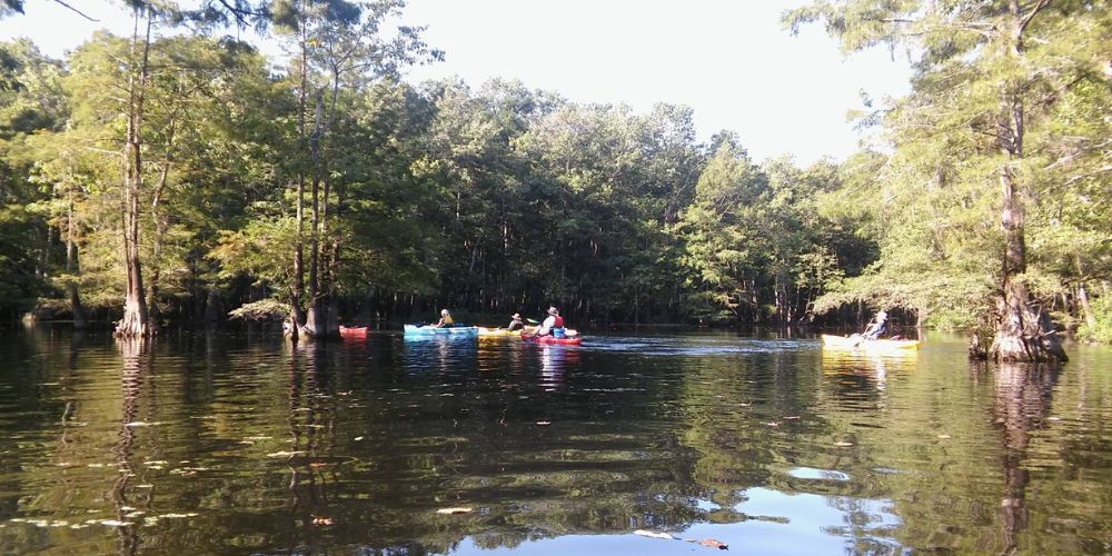 kayak louisiana