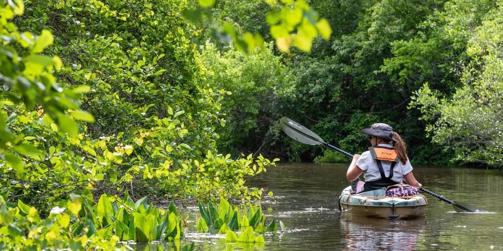 best places to kayak in mississippi