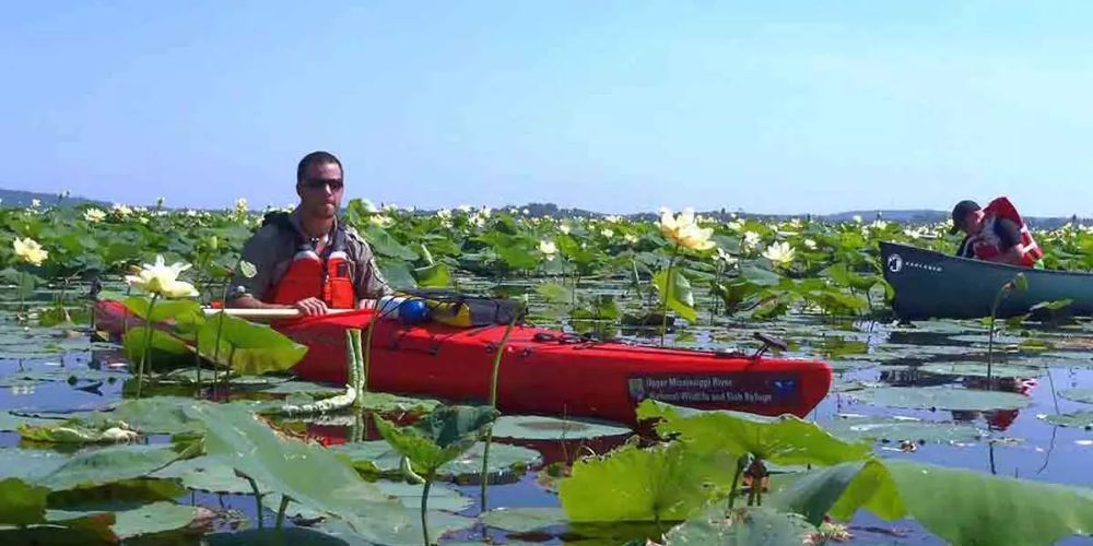 kayak mississippi