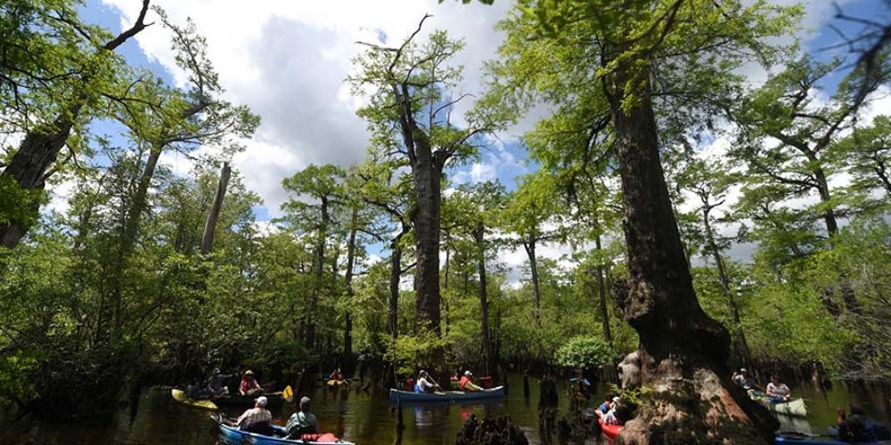 best places to kayak in north-carolina