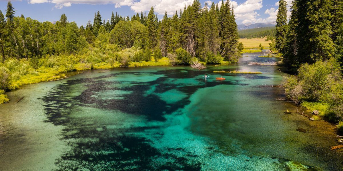 An aerial view of a river surrounded by trees on a sunny day.