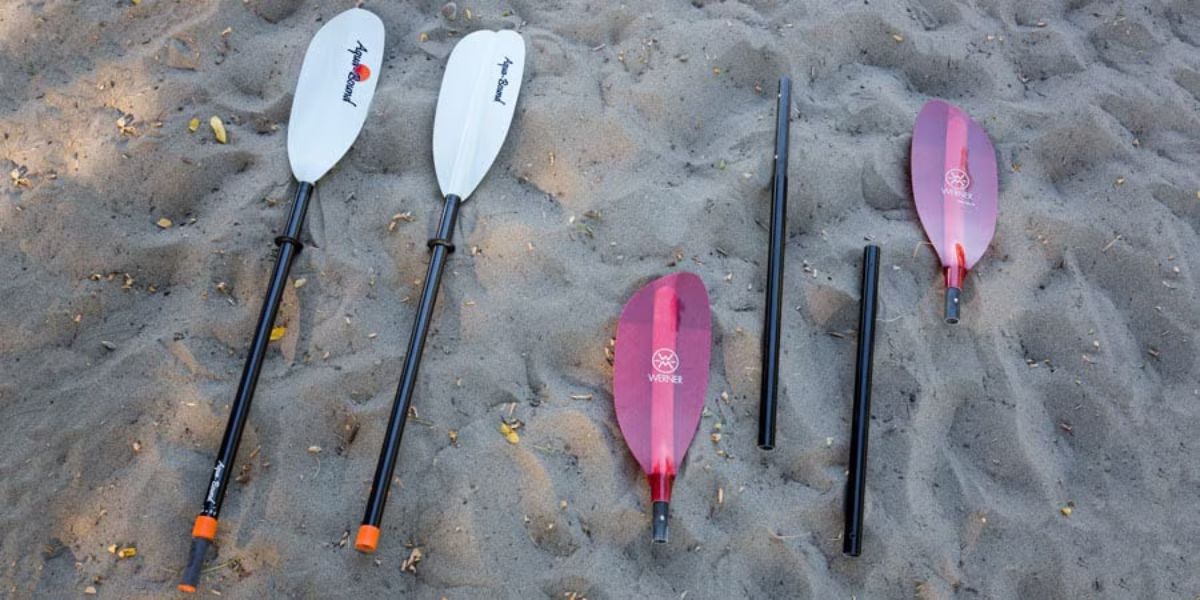 variety of kayak paddles in the sand