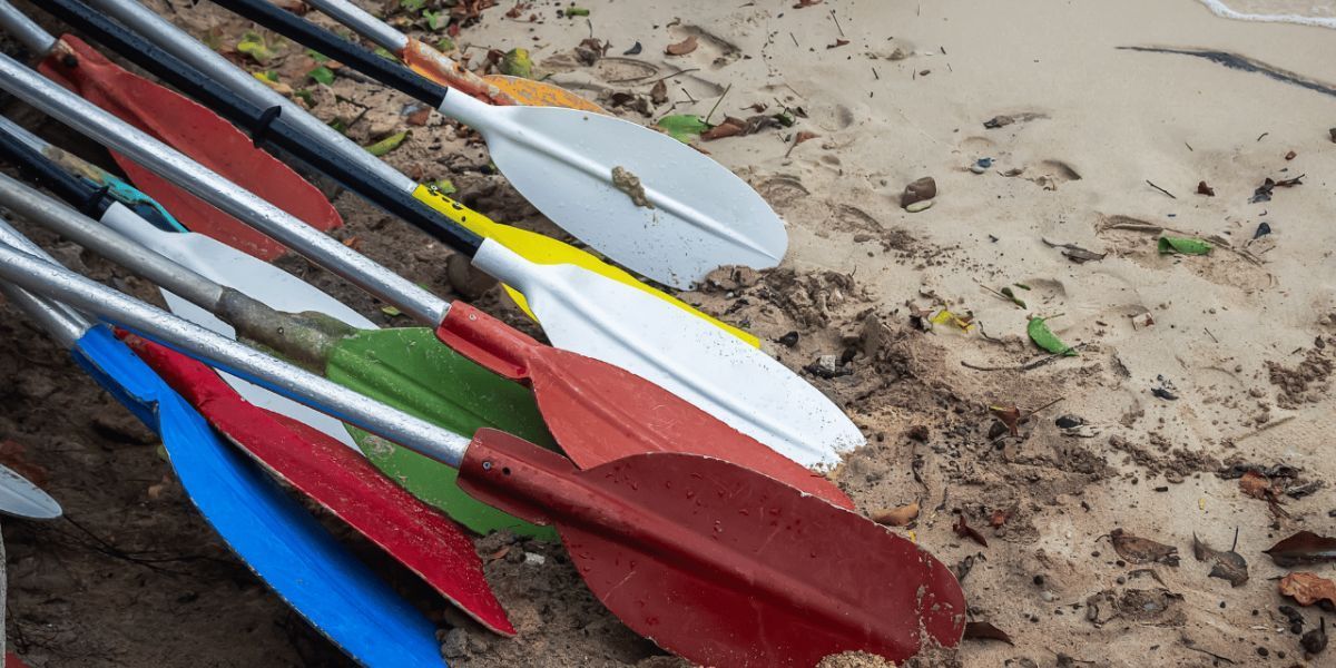 The Best Kayak Paddles for Beginners