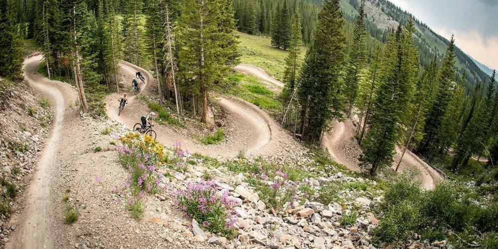 A group of people are riding bikes down a trail in the woods.