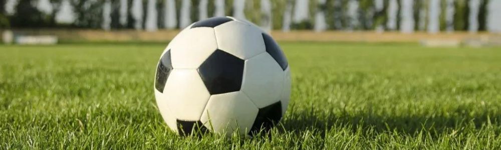 A soccer ball is sitting on top of a lush green field.