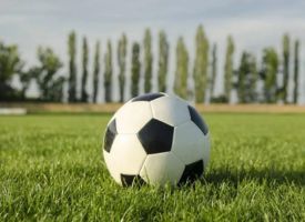 A soccer ball is sitting on top of a lush green field.