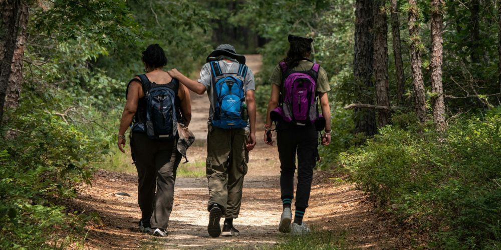 Three people with backpacks are walking down a path in the woods.