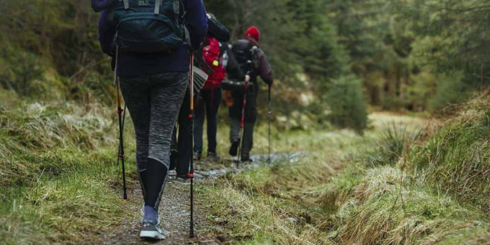 A group of people are walking down a path in the woods.