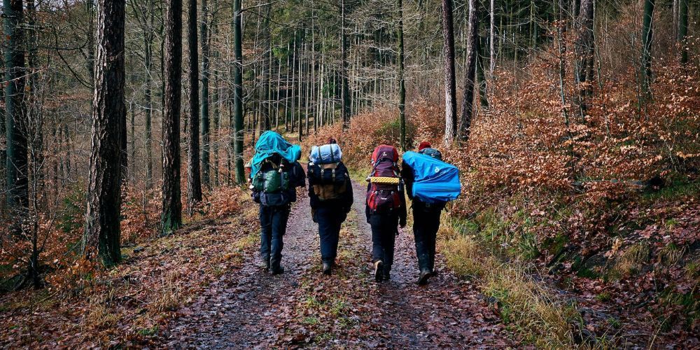 A group of people with backpacks are walking down a path in the woods.