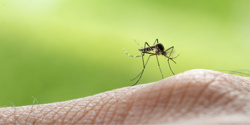 A mosquito is sitting on a person 's finger.