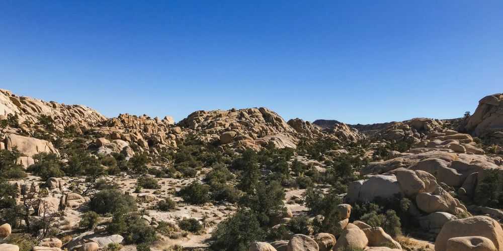 A desert landscape with rocks and trees and a blue sky