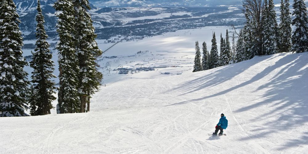 A person is skiing down a snow covered slope with trees in the background.