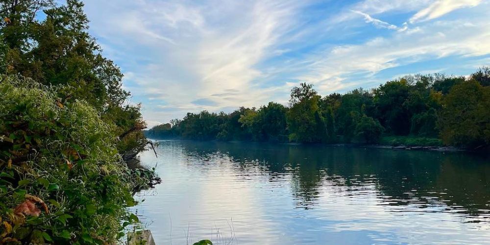 A large body of water surrounded by trees on a sunny day.