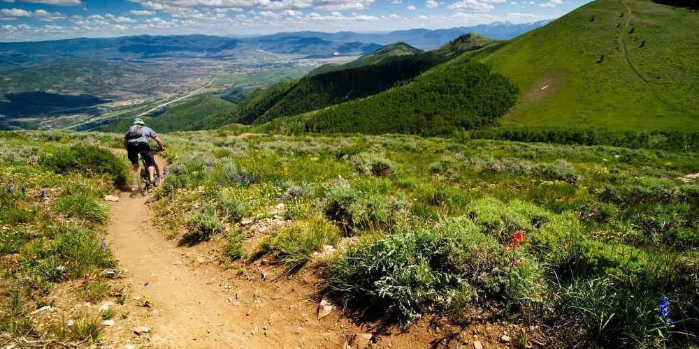 A person is riding a bike on a trail in the mountains.