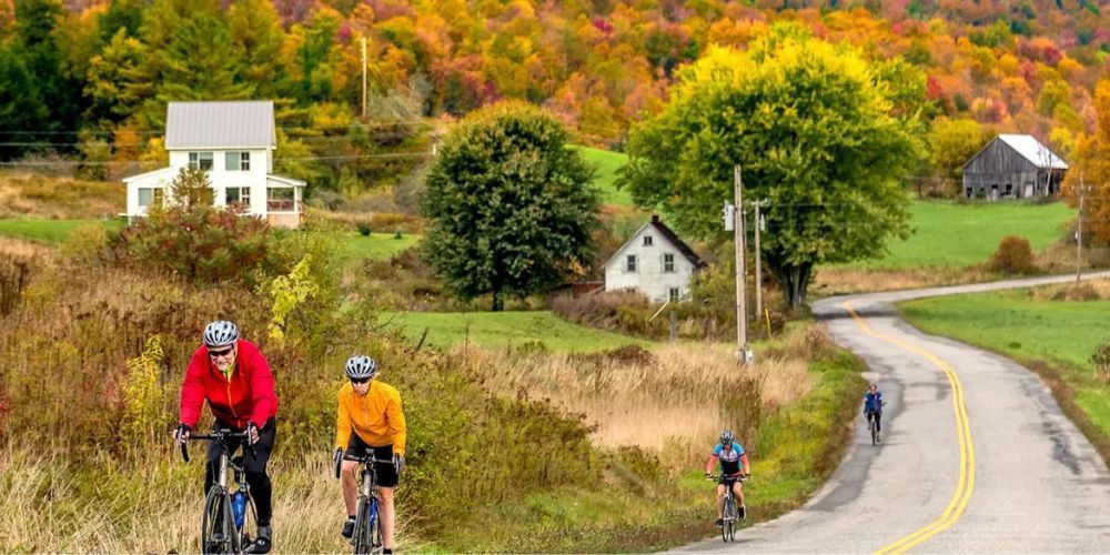 A group of people are riding bicycles down a country road.