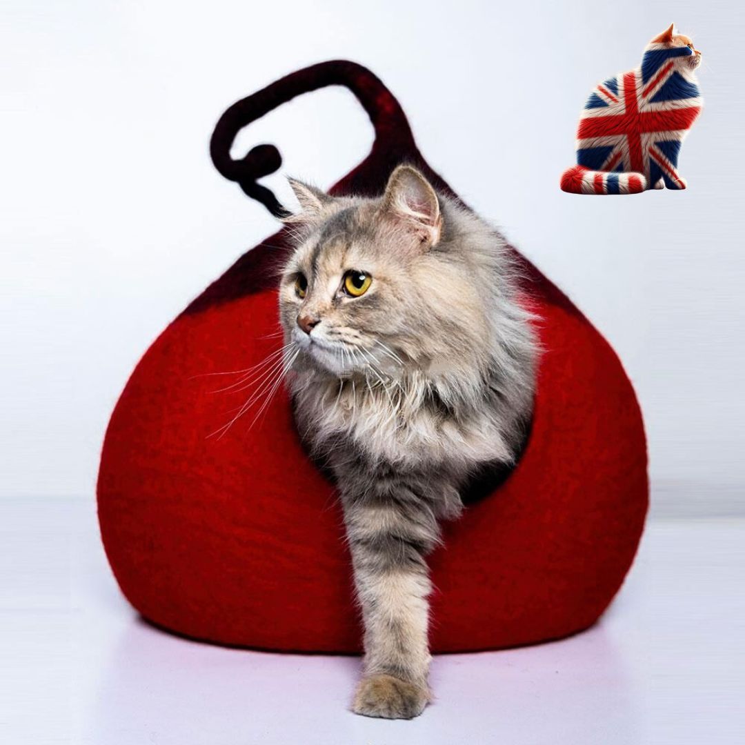 colorful cat cave for home decor