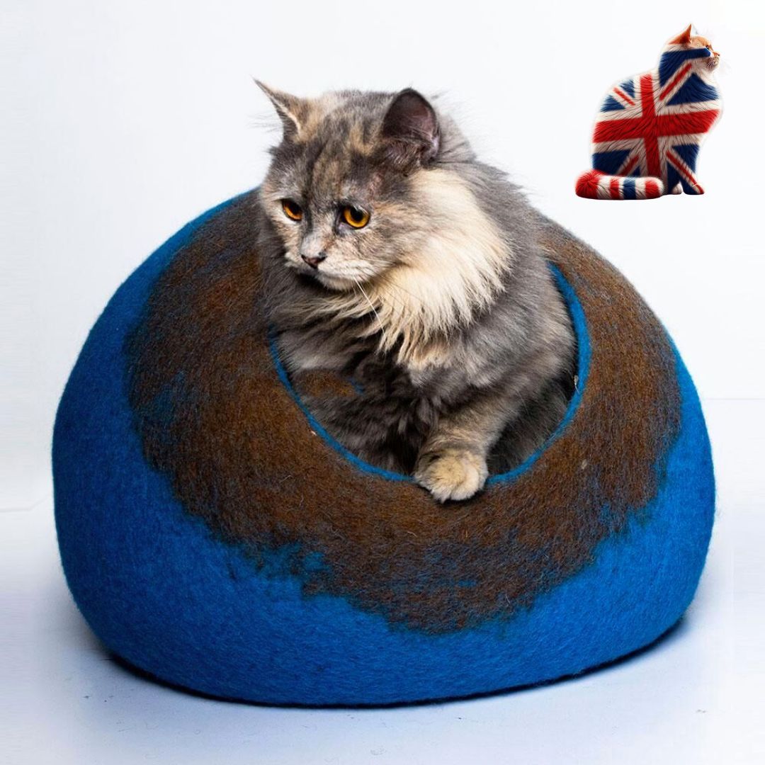 cat sleeping in warm winter cave bed