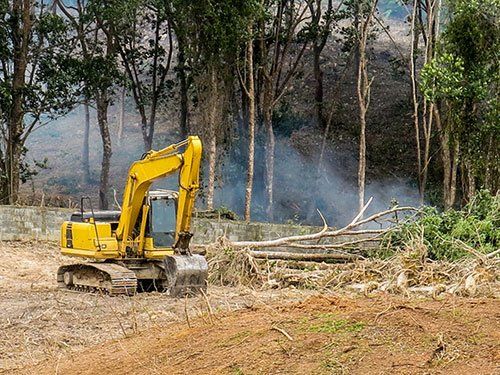 Land clearing for College Station, Caldwell, & Conroe, TX