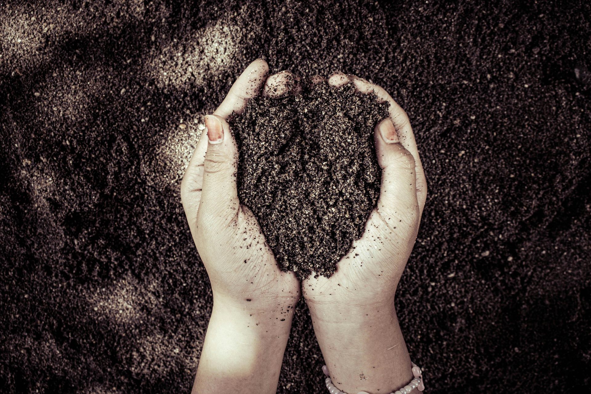 Two Hands Holding Soil After Land Clearing Project