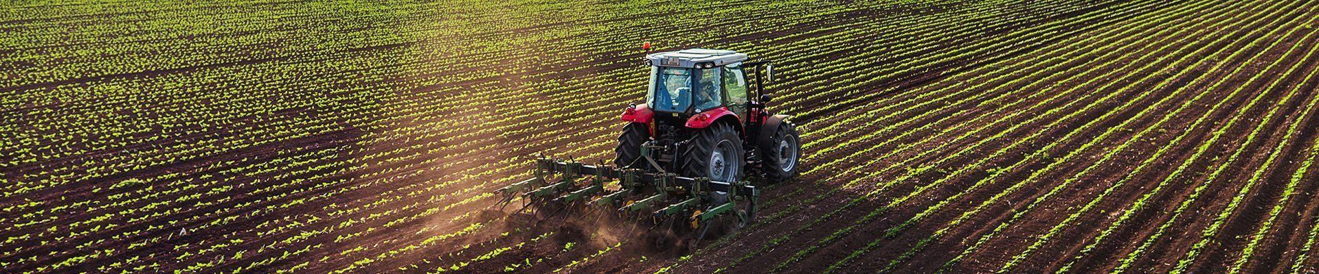 Red Tractor Plowing Rows of Crops in a Field — Paul’s Tyres & Farm Maintenance in Apsley, NSW